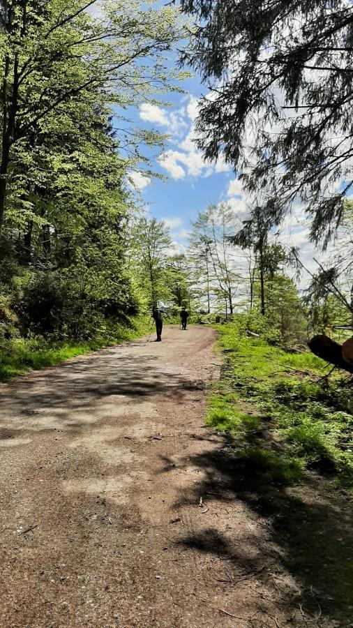 Harz-Huette - Schnuckelig Fewo In St. Andreasberg Sankt Andreasberg Zewnętrze zdjęcie