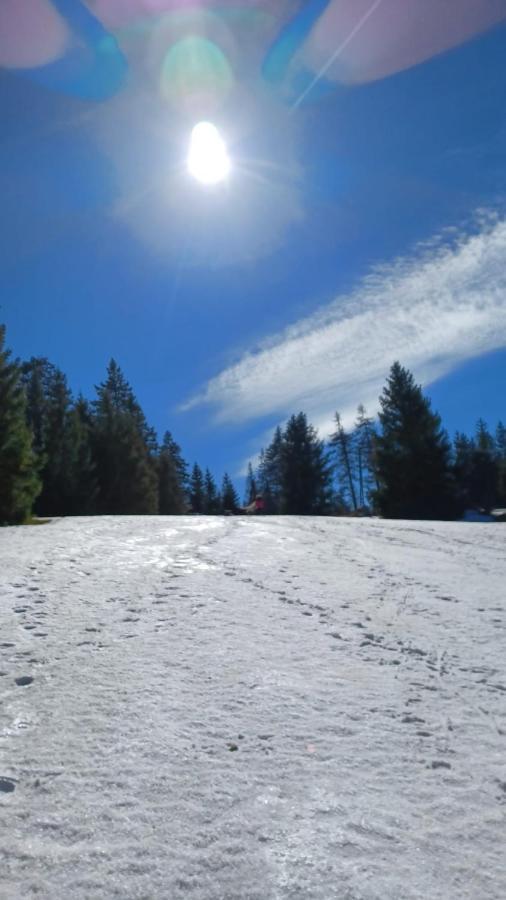 Harz-Huette - Schnuckelig Fewo In St. Andreasberg Sankt Andreasberg Zewnętrze zdjęcie